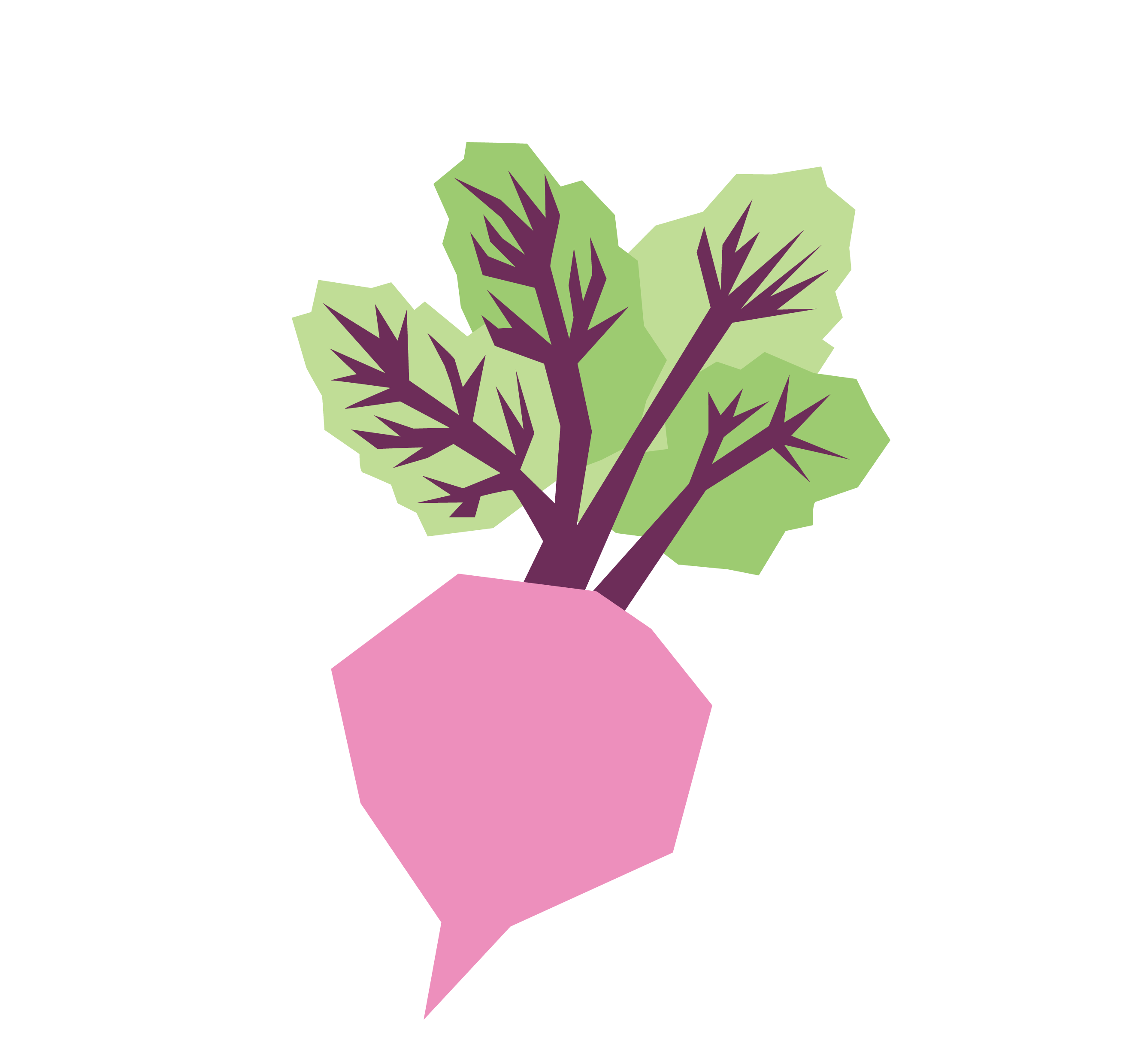 Pureed Radish